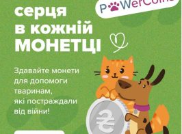 557505578 122308230914010354 3514985153517448995 N